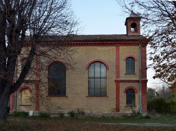 Tour Zu Fuß Sollenau - Kosme Runde bei Sollenau - Photo