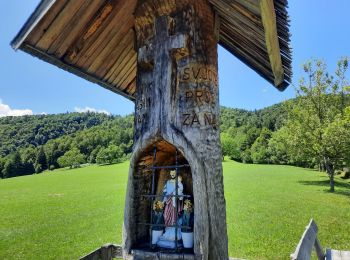 Tocht Stappen Borovnica - pekel cascades - Photo