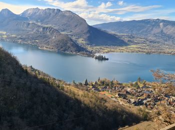 Tour Wandern Talloires-Montmin - les Pingolies - Photo