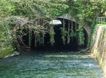 Tour Zu Fuß Glattfelden - Rheinsfelden - Glattfelden - Photo