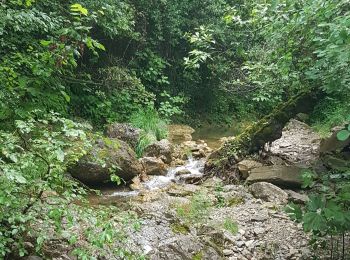 Tour Wandern Touët-de-l'Escarène - TOUET  - Photo