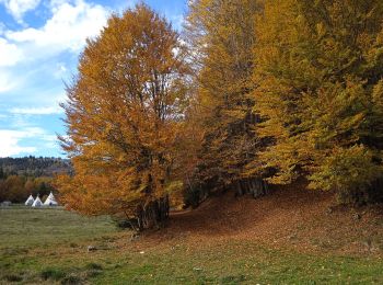 Tour Wandern Montcel - revard . Touré de l'angle est. - Photo