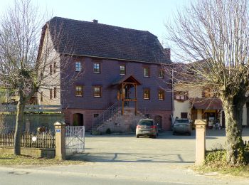 Tocht Te voet Mossautal - Mossautaler Drachenweg 2: Fafnir - Photo