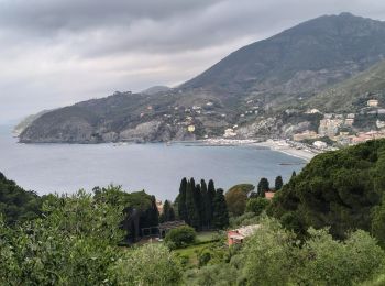 Excursión Senderismo Levanto - Levanto-monterosso-11kmD450m - Photo