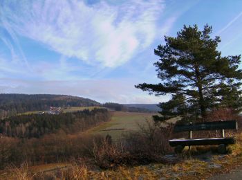 Tour Zu Fuß Goldkronach - Goldkronach Rundwanderweg Nr. 4 - Photo