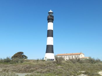 Excursión Senderismo Arles - 30 - phare de faraman - Photo