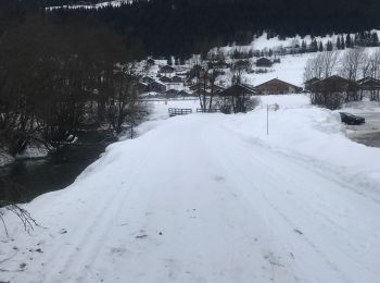 Excursión Marcha nórdica La Chapelle-d'Abondance - Crêt Béni vers plan de feu - Photo