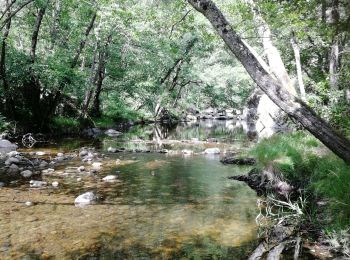 Tour Wandern Colombier-le-Vieux - Leygas StSorny Morens - Photo