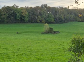 Trail Walking Salles-la-Source - Circuit autour du Mont Aubert à Salles le Source - Photo
