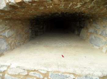 Tocht Te voet Groß-Bieberau - Rundwanderweg Fischbachtal Riedbusch 5: Schlangen-Weg - Photo