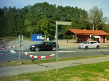 Excursión A pie Geiersthal - Vorderpiflitzer Rundweg - Photo