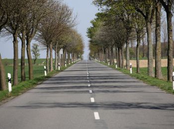 Tocht Te voet Borchen - Borchen Rundweg A3 - Photo