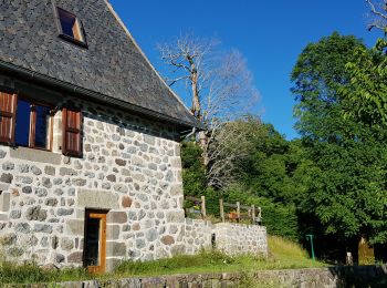 Randonnée Marche Mandailles-Saint-Julien - Le Fournal au Col de Cabre - Photo