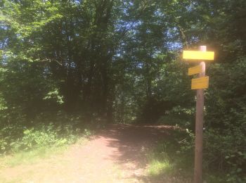 Trail Walking Aix-les-Bains - Bois Vidal x - Photo