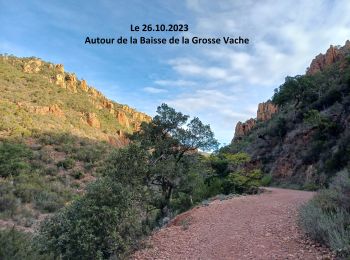 Tour Wandern Saint-Raphaël - Autour de la Baisse de la Grosse Vaches - Photo