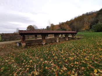 Excursión Ruta Tossiat - lavoir tossiat / journans / senissiat/ X de rignat /lavoir  - Photo