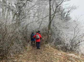 Tour Wandern Martailly-lès-Brancion - Martialy le 29-01-2022 - Photo