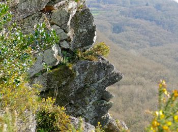 Randonnée A pied Athis-Val-de-Rouvre - Sentier du granite - Photo