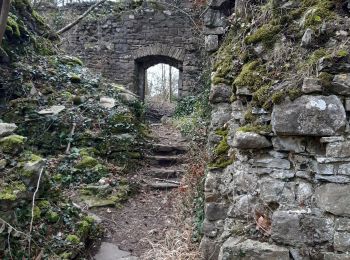 Trail Walking Aywaille - aywaille . corniche . trou des chiens . florzé . chateau d ambleve . martinrive . aywaille  - Photo