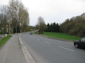 Randonnée A pied Lügde - Lügder Weg - Photo