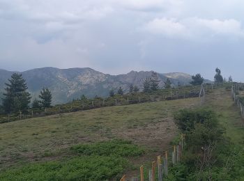 Randonnée Marche Ventalon en Cévennes - Sentier de l'Avès - Photo