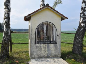 Excursión A pie Beilngries - Beilngries-Altmannstein-Wanderweg - Photo