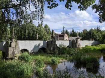 Randonnée A pied Poběžovice - [Ž] Bělá nad Radbuzou - Poběžovice - Photo