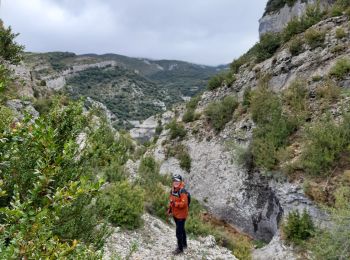 Randonnée V.T.T. Aínsa-Sobrarbe - las bellostas bagueste - Photo