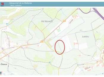 Trail Walking Theux - 20241202 - Laboru 7.4 Km - Photo