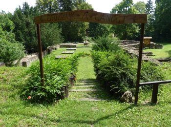 Tour Zu Fuß Unbekannt - ZC (Tündér szikla) - Photo