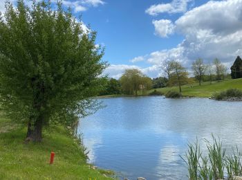 Tour Wandern Villers-la-Ville - VLV - promenade de Rigenée (départ parking du Golf) - Photo