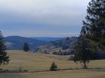 Trail Walking Cornimont - Circuit roche des chats / Jemnaufaing / Pierre des 4 communes - Photo