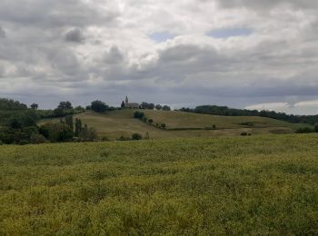 Trail Walking Saint-Gauzens - Briatexte le sentier des Crêtes  - Photo