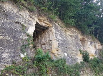 Tour Zu Fuß Riemst - 3.Kanne: Groene Rechthoek - Photo