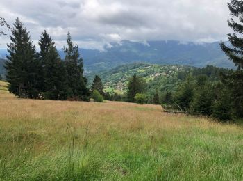 Randonnée Marche Geishouse - Geishouse-Kapitaenstressla-Faucon Crécerelle - Photo