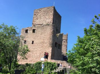 Randonnée Marche Wintzenheim - wintzenheim et les châteaux - Photo