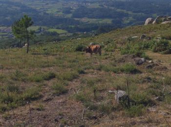 Tocht Stappen Vascões - Vascões - Corno de Bico - Photo