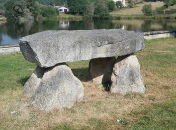 Randonnée A pied Fournols - Fournols - Puy du Sapt - Photo