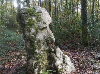 Excursión Senderismo Cesson - Forêt de Breviande et le menhir du Grand Berger - Photo