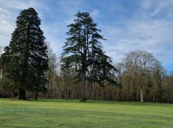 Tour Wandern Montrieux-en-Sologne - montrieux petit - Photo