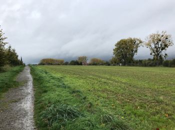 Tour Wandern Enghien - Enghien 12 km - Photo