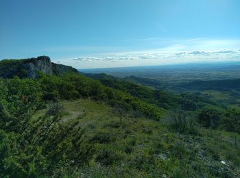 Excursión Bici eléctrica Suzette - Suzette Vttae - Photo