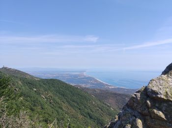 Tocht Mountainbike Argelès-sur-Mer - château de Valmy Argelès sur Mer - Photo