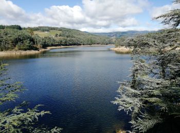 Randonnée Marche Savas - 07 Lac du ternay / croix des Blaches 8km 230M - Photo