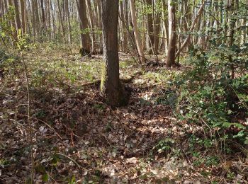 Tocht Stappen Marines - rando boucle Marine en Vexin - Photo