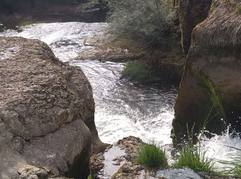 Tour Wandern Matafelon-Granges - Charmine - Saut de l'Oignin - Photo