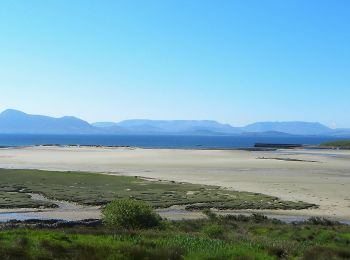 Tour Zu Fuß Westport-Belmullet Municipal District - Lookout Hill Loop Walk - Photo