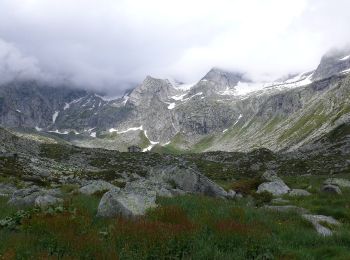 Tocht Te voet Saviore dell'Adamello - (SI D27S) Rifugio Città di Lissone in Val Adamè - Rifugio Paolo Prudenzini - Photo