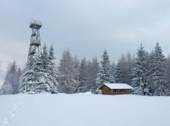 Tour Zu Fuß Grünenplan - HZ3 Auf dem Kammweg zum Raabe-Turm - Photo