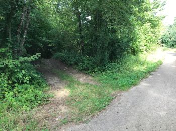 Tocht Stappen Montauville - Forêt de PUVENELLE boucle entre Maidières et Jéeainville - Photo